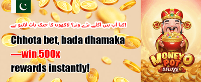 ڈیلی اسپن promotion banner